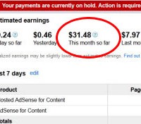 YouTube Partner Earnings